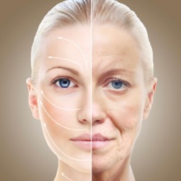 Soin anti-âge Ericson Line Correction